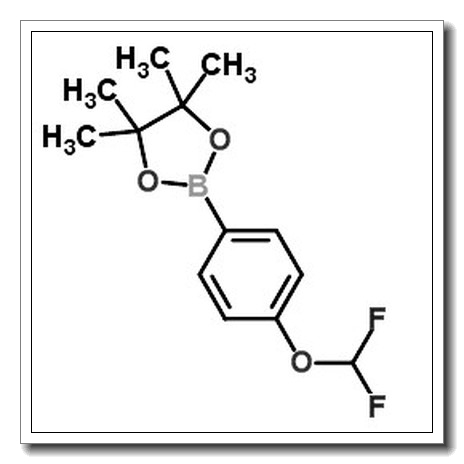 2-[4-(difluoromethoxy)phenyl]-4,4,5,5-tetramethyl-1,3,2-dioxaborolane CAS 887757-48-4
