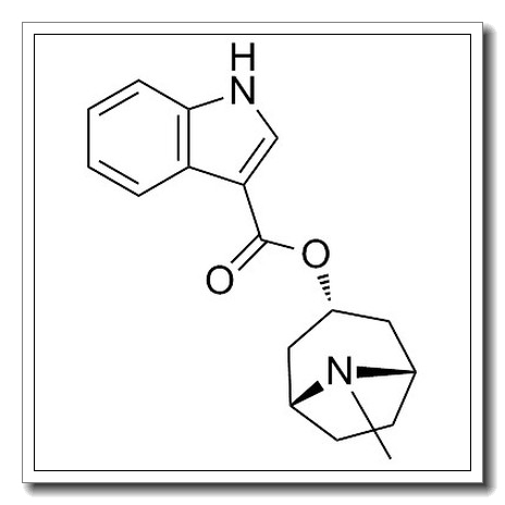 托烷司琼