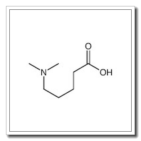 5-(二甲基氨基)戊酸