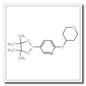 2-[(四氢-2H-吡喃)氧基]-5-(4,4,5,5-四甲基-1,3,2-二氧硼烷)-吡啶