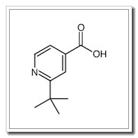 2-(叔丁基)异烟酸