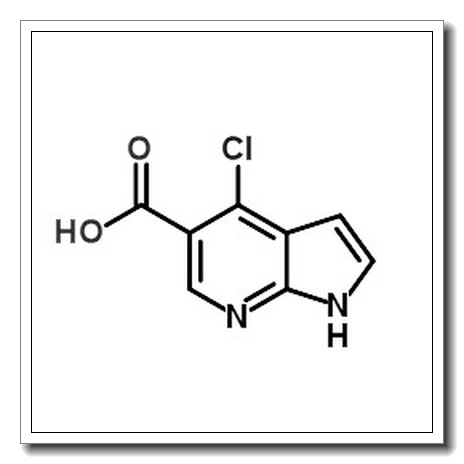 4-氯-1H-吡咯并[2,3-b]吡啶-5-羧酸