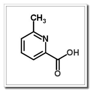 6-Methyl-2-pyridinecarboxylic Acid