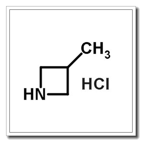 3-Methylazetidine hydrochloride CAS 935669-28-6