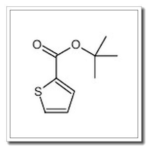 噻吩-2-羧酸叔丁酯