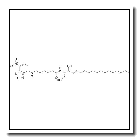 c6-nbd-ceramide