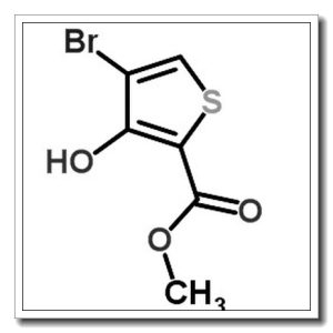 4-溴-3-羟基噻吩-2-羧酸甲酯