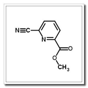 6-氰基吡啶-2-羧酸甲酯