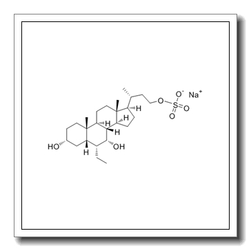 INT-767 CAS 1000403-03-1