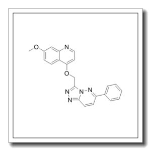 药物活性分子