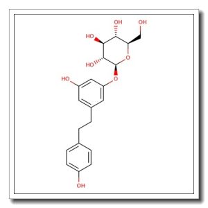 Dihydrozeatin-7-glucoside