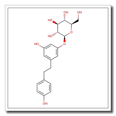 Dihydrozeatin-7-glucoside