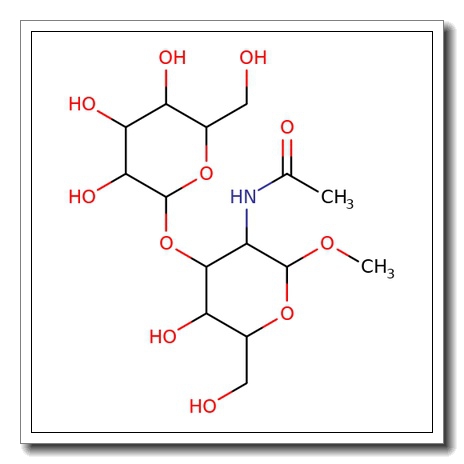 Methyl 2-acetamido-2-deoxy-3-O-(b-D-galactopyranosyl)-b-D-glucopyranoside CAS 100836-88-2
