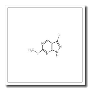 3-氯-6-(甲硫基)-1H-吡唑并[3,4-d]嘧啶