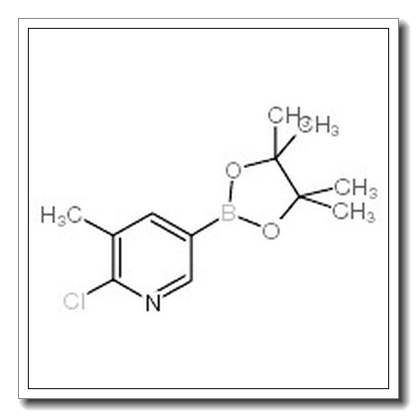6-氯-5-甲基吡啶-3-硼酸频哪醇酯