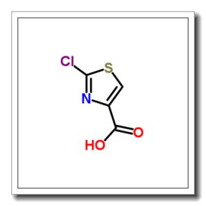 2-氯-噻唑-5-甲酸