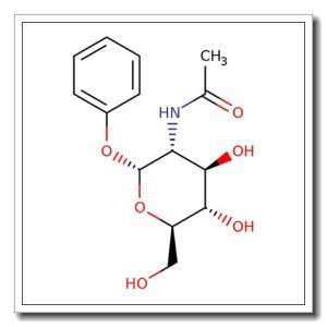 Phenyl 2-acetamido-2-deoxy-α-D-glucopyranoside