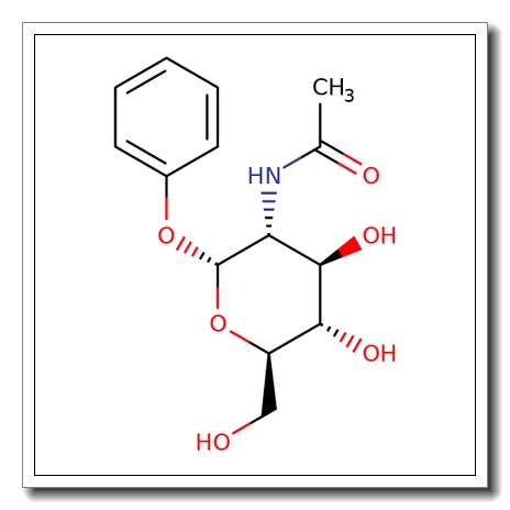Phenyl 2-acetamido-2-deoxy-α-D-glucopyranoside