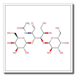 Linear B-2 trisaccharide