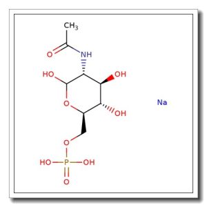 N-Acetyl-D-glucosamine-6-phosphate disodium