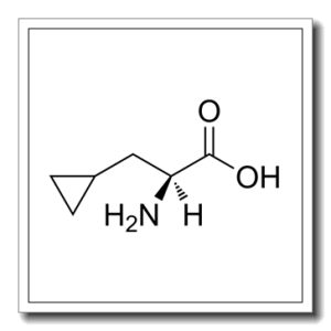 L-环丙基丙氨酸