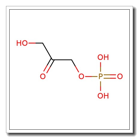 Glycerone phosphate dilithium salt