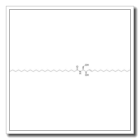 Cer(d18:1/24:0)