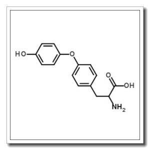 DL-甲状腺氨酸