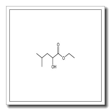 Ethyl DL-Leucate CAS 10348-47-7