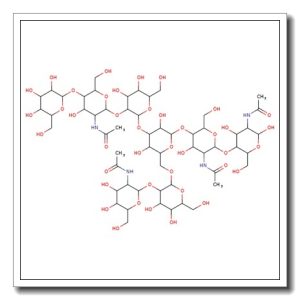 G-NGA2 N-Glycan
