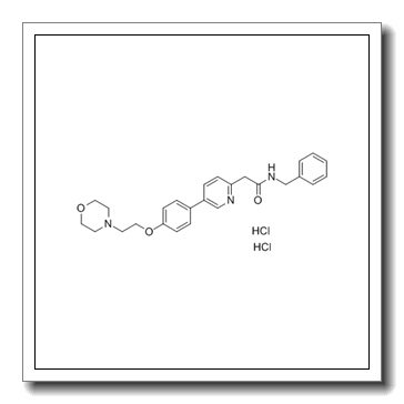 N-benzyl-2-[5-[4-(2-morpholin-4-ylethoxy)phenyl]pyridin-2-yl]acetamide,dihydrochloride CAS 1038395-65-1