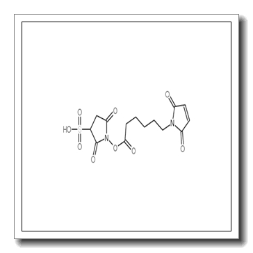 1-[6-(2,5-dioxopyrrol-1-yl)hexanoyloxy]-2,5-dioxopyrrolidine-3-sulfonic acid CAS 103848-61-9