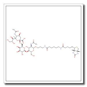 6′-α-Sialyl-N-acetyllactosamine-sp-biotin