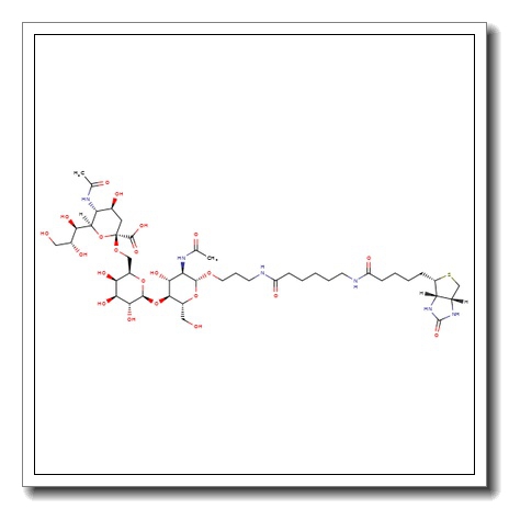 6'-α-Sialyl-N-acetyllactosamine-sp-biotin CAS 1038746-08-5