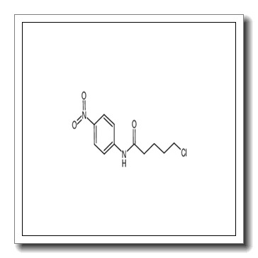 5-chloro-N-(4-nitrophenyl)pentanamide CAS 1039914-85-6