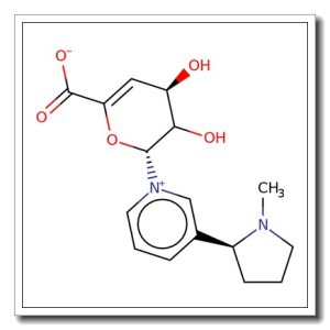Nicotine-N-(4-deoxy-4,5-didehydro)-b-D-glucuronide