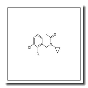 N-环丙基-N-[(2,3-二氯苯基)甲基]-乙酰胺