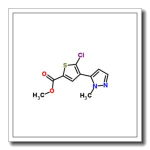Methyl 5-chloro-4-(1-methyl-1H-pyrazol-5-yl)-2-thiophenecarboxylate