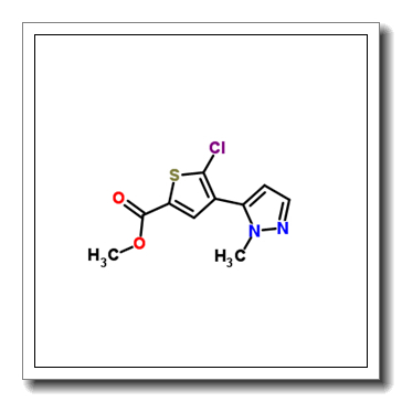 Methyl 5-chloro-4-(1-methyl-1H-pyrazol-5-yl)-2-thiophenecarboxylate CAS 1047630-52-3