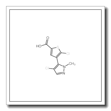 5-chloro-4-(4-chloro-1-methyl-1H-pyrazol-5-yl)thiophene-2-carboxylic acid CAS 1047630-61-4