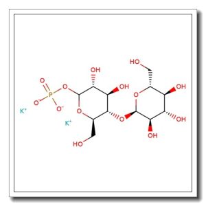 D-Maltose monohydrate