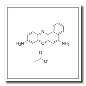 甲酚紫