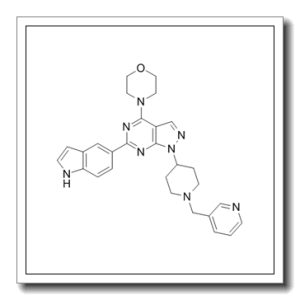 6-(1H-吲哚-5-基)-4-(4-吗啉基)-1-[1-(3-吡啶基甲基)-4-哌啶基]-1H-吡唑并[3,4-D]嘧啶
