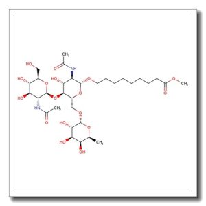 8-Methoxycarbonyloctyl-6-O-(a-L-fucopyranosyl)-N,N’-diacetyl-chitobioside