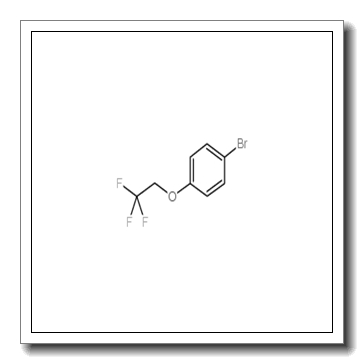 1-溴-4-(2,2,2-三氟乙氧基)苯