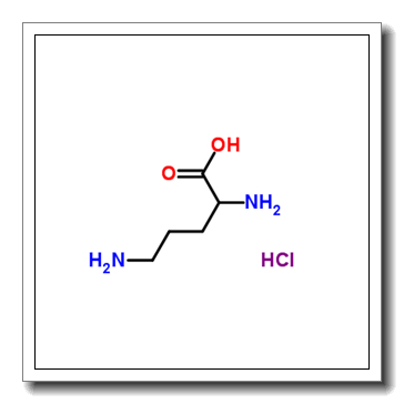 (±)-2,5-二氨基戊酸 单盐酸盐
