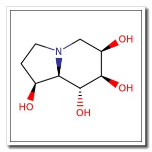 6-Epi-castanospermine