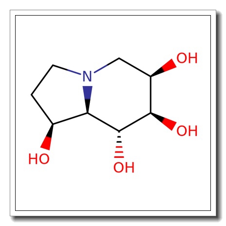6-Epi-castanospermine