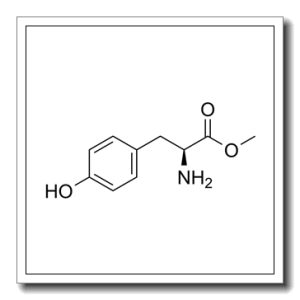 L-酪氨酸甲酯