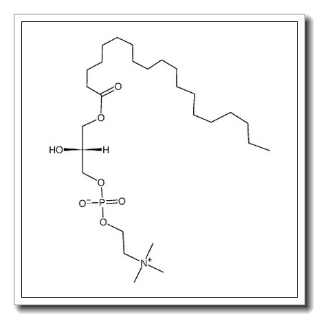 L-α-monononadecanoyl lysophosphatidyl choline